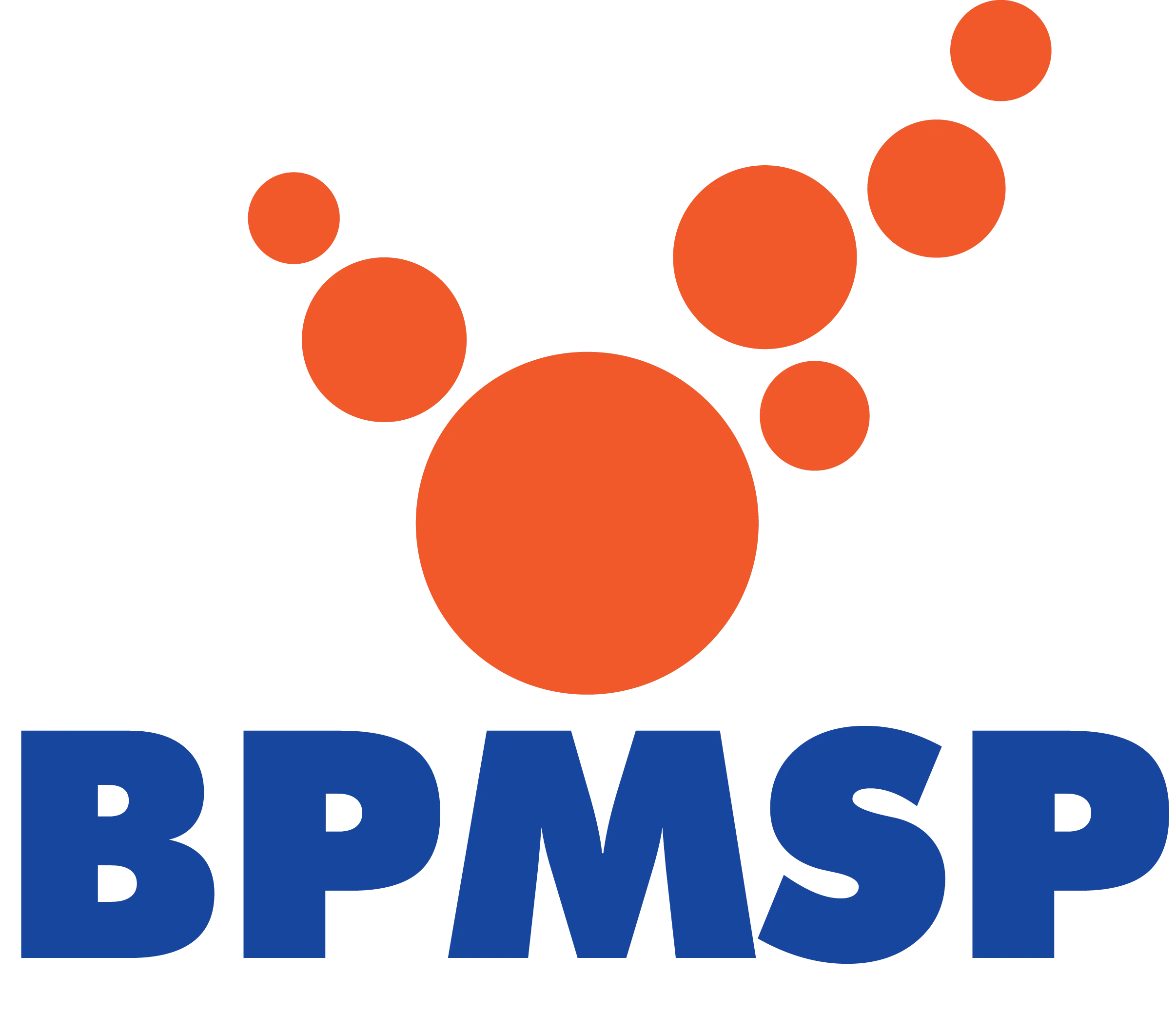 BPMS Logo